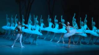 Jezioro Łabędzie  Swan Lake St Petersburg Festival Ballet [upl. by Nhguavad]