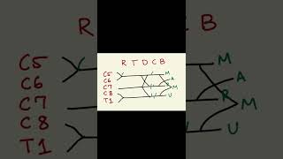 Brachial plexus part2 neetpg2025 mbbsstudent medicine science inicet2025 [upl. by Wareing]