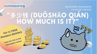 Beginner Mandarin Chinese quot多少钱 duōshǎo qián How Much Is Itquot with eChineseLearning [upl. by Gusti82]