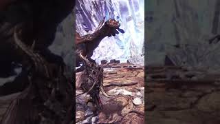 EZ Bazelgeuse Switch Axe Pros  somanytotry on Twitch [upl. by Seibold]