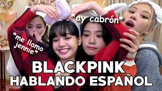 Blackpink hablando español [upl. by Penthea]