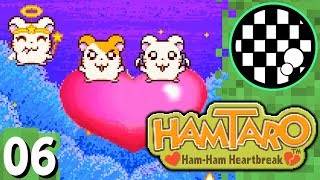 Hamtaro Ham Ham Heartbreak  PART 6 FINALE [upl. by Odey]