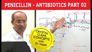 Penicillin  Antibiotics  Dr Najeeb  Part 24 [upl. by Tudor]