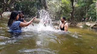 Thalayanai River  Kalakad Mundanthurai Tirunelveli  PlanetWander [upl. by Readus]