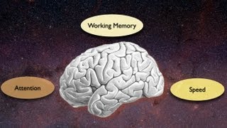 Exploring the Crossroads of Attention and Memory in the Aging Brain Views from the Inside [upl. by Airekal78]