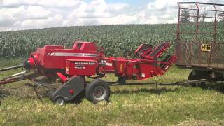 Massey Ferguson 1837 Square Baler Java Farm Supply [upl. by Ellenid]