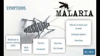 Malaria Introduction  Communicable Disease [upl. by Ahsinad]