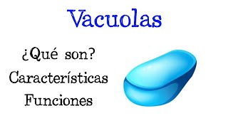 🌐 ¿Qué son las Vacuolas 💥 Funciones Fácil y Rápido  BIOLOGÍA [upl. by Gilus233]