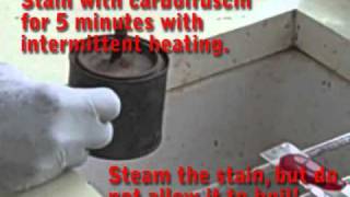 Preparing an AcidFast Stain using the ZiehlNielsen Method  MultiLingual Captions [upl. by Dnalel]