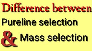 Difference between Pure line Selection and Mass Selection [upl. by Bartley770]