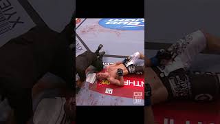 UFC 100 2009 Dan Henderson vs Michael Bisping  ufc knockout mma [upl. by Templa]