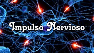 Impulso Nervioso [upl. by Harbot]