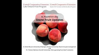 Using Mating Disruption and Entomopathogenic Nematodes for Peach Tree Borer Control [upl. by Retrop241]