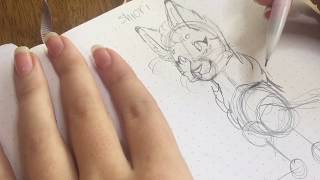 How to draw a warrior cat redraw [upl. by Sherer430]