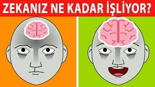 Zekanız Ne Kadar İşliyor Cevaplarınız Karakterinizi Anlatıyor [upl. by Donough]