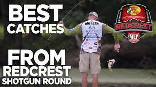 Top Catches from REDCREST Shotgun Round  MLF REWIND [upl. by Willette]