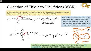 0303 Oxidation Reactions of Thiols [upl. by Itsim]