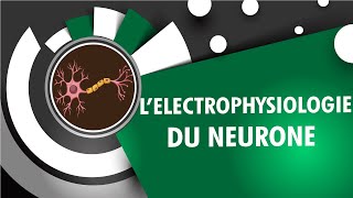 Electrophysiologie Du Neurone  INSEN Academy [upl. by Ewall]