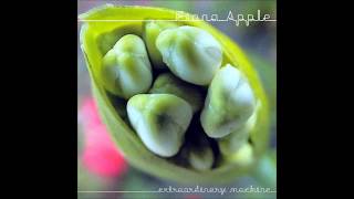 Fiona Apple  Not About Love [upl. by Peppi]