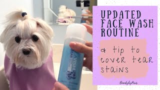 Tip to cover Tear Stains Updated Face Wash Routine 2023 [upl. by Seiber]