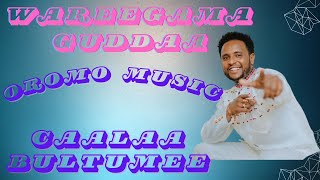 Caalaa Bultumee  Wareegama Guddaa Baa  Oromo Music [upl. by Juetta]