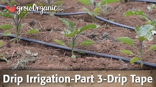 Drip IrrigationPart 3Using Drip Tape [upl. by Alemaj662]