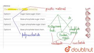 The backbone of the DNA is formed by [upl. by Matronna445]