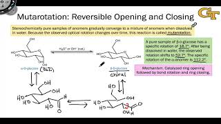 1605 Anomers Mutarotation and the Anomeric Effect [upl. by Reggis]