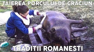 Taierea si Transarea Porcului de Craciun  Traditii Romanesti de Ignat Eng Sub [upl. by Delaine]