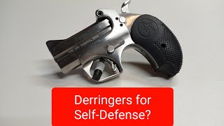 Are Derringers Good For SelfDefense [upl. by Xuaegram]