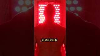 Red Light Therapy Treatment Area TRUTH Know THIS [upl. by Malik422]