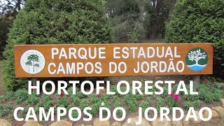 PARQUE ESTADUAL EM CAMPOS DO JORDAO 2024 [upl. by Eelnayr]