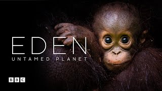 Eden Untamed Planet  BBC Select [upl. by Gosnell]