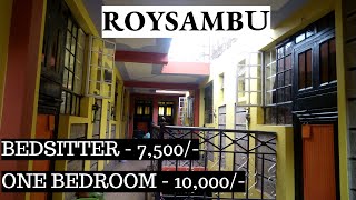 CHEAPEST APARTMENTS IN ROYSAMBU  THIKA ROAD  HOUSE HUNTING [upl. by Siclari]