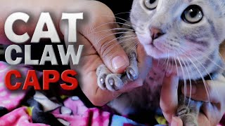 Cool Cat Nail Caps How to [upl. by Aloiv]