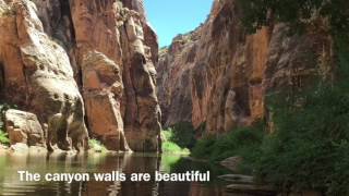 Paddling Clear Creek Kayaking Arizona [upl. by Annait]