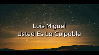 Luis Miguel  Usted Es La Culpable  Lyrics [upl. by Jaquith]