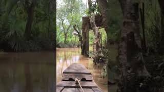 Sailing the Mekong Delta Explore Vietnam’s Enchanting Waterways on a Wooden Boat 🌴🚤 [upl. by Bela]