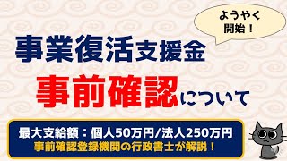 事業復活支援金の「事前確認」について解説 [upl. by Etteb6]