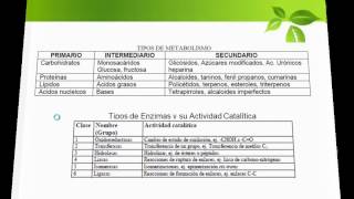 Metabolismo Vegetal Metabolitos Primarios y Secundarios [upl. by Greff]