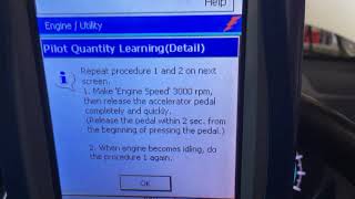 PILOT LEARN PROCEDURE amp injector compensation codes  p1601 [upl. by Masson]