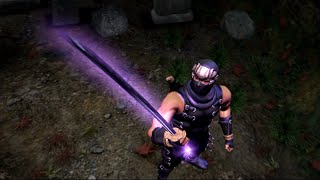 Ninja Gaiden Review [upl. by Dorelle734]