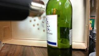 Getting labels off of wine bottles Fastest Easiest [upl. by Trevor]