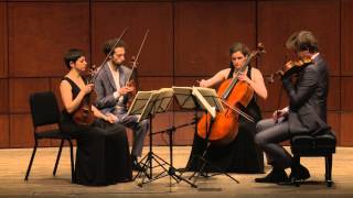 Beethoven String Quartet Op 132 in A Minor  Ariel Quartet full [upl. by Aharon]