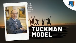 The Tuckman Model of Team Development  Tuckman Group Stages [upl. by Repip186]