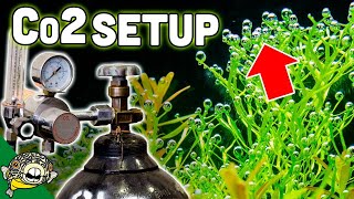 How To Set Up Aquarium Co2 System  The EASY Way [upl. by Eadahc]