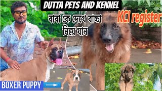 Home breed puppy sell in kolkatabiggest dog kennel in kolkata dog kennel dog market kolkata [upl. by Daley489]