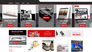 Alpha Store Free WordPress Theme Review With Download Link [upl. by Eylatan]