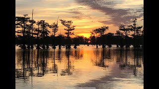 ReelFoot Lake  Bluegill Fishing Resort Reviews and Catfishing [upl. by Swirsky]