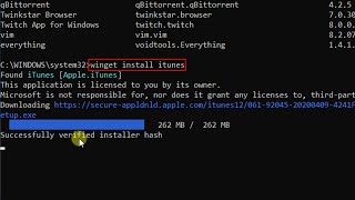 How to use WINGET in Windows 10 to install a program [upl. by Mason]